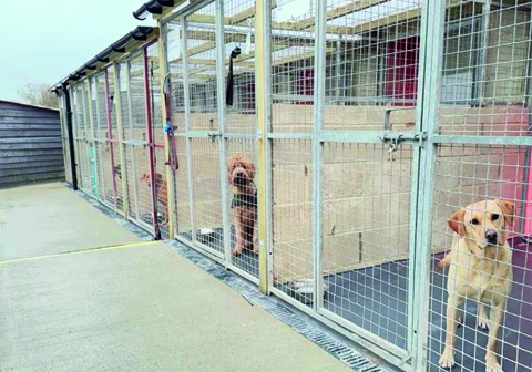 Karebear Garden Kennels