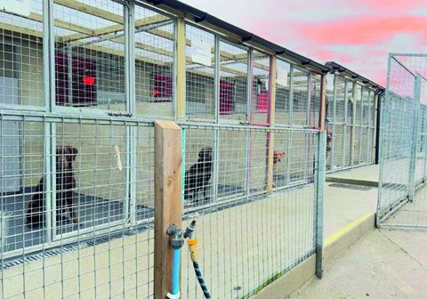 Karebear Garden Kennels