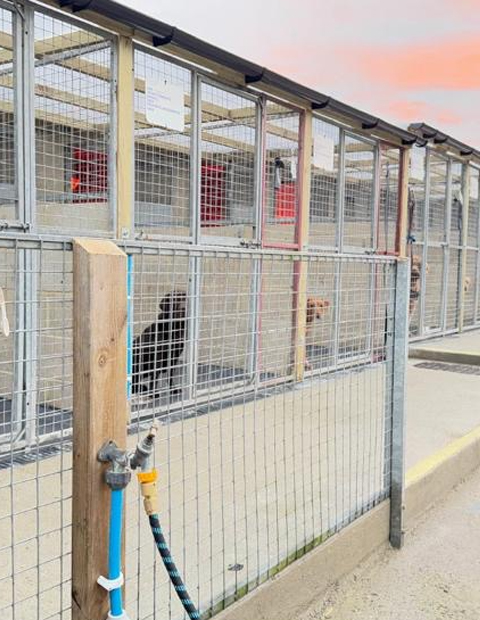 Karebear Garden Kennels