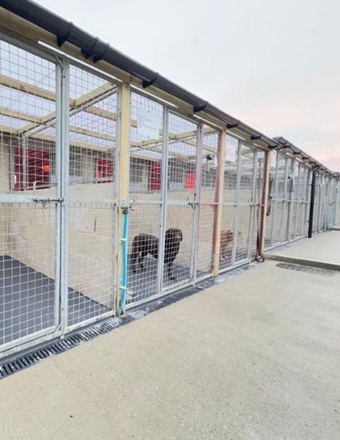 Karebear Garden Kennels