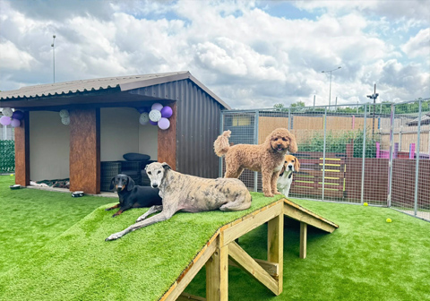 Karebear Day Boarding