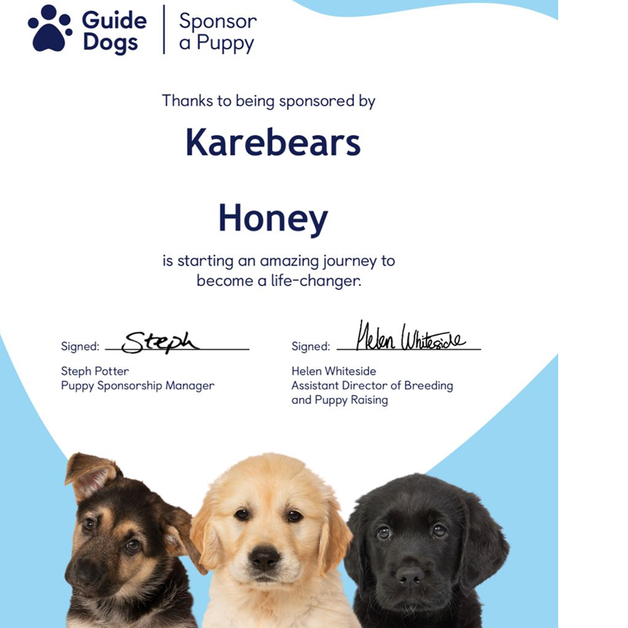 Karebears sponsors a Guide Dog puppy