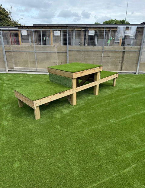 Karebear Day Boarding Dog Play Area