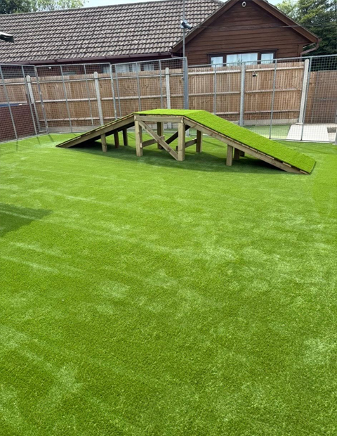 Karebear Day Boarding Dog Play Area