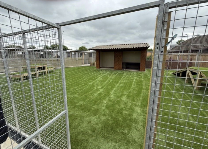 Karebear Day Boarding Dog Play Area